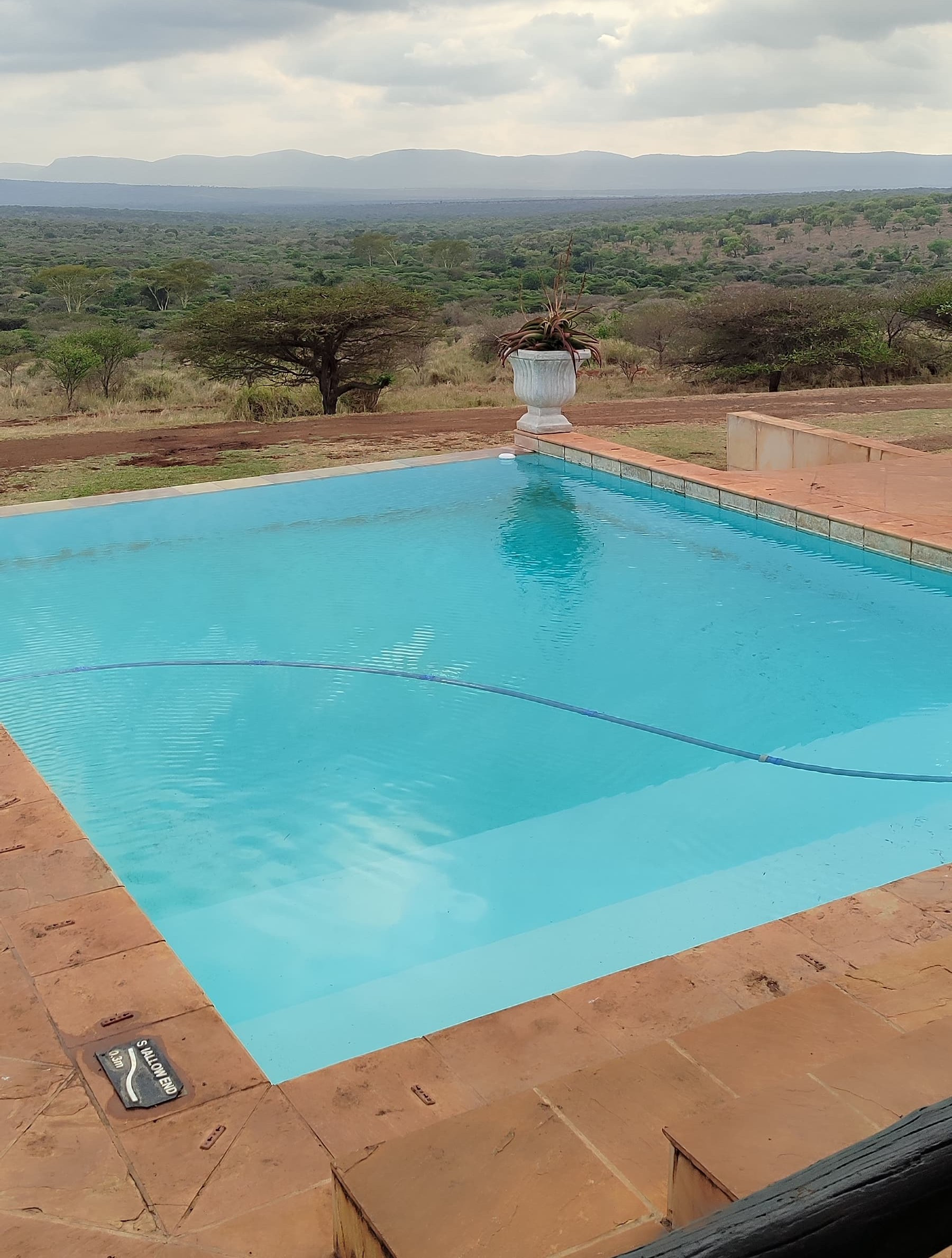 bayete zulu homestead