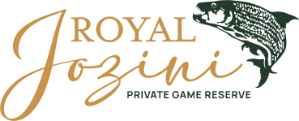 royal jozini private game reserve