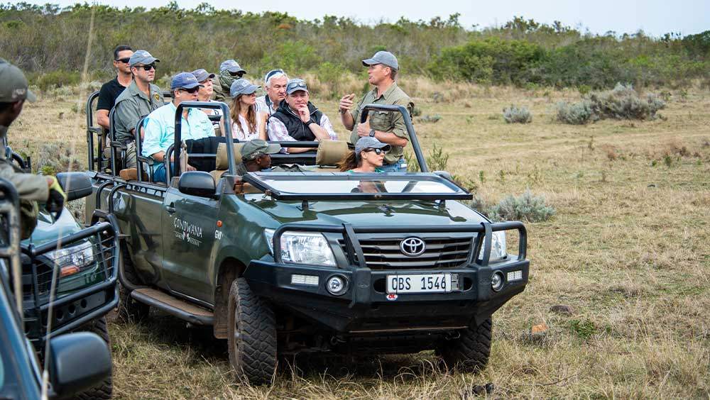 guests in a safari game drive
